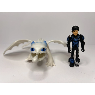 How to train your dragon - Light Fury & Rider