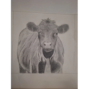 Happy cow
