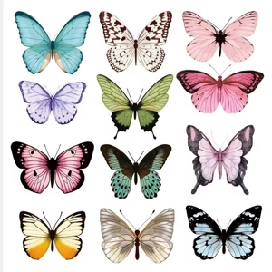 Butterfly pack Butterfly pack