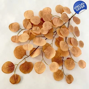 APPLE LEAVES