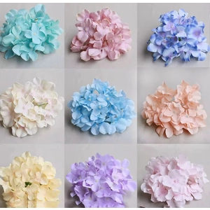 HYDRANGEA