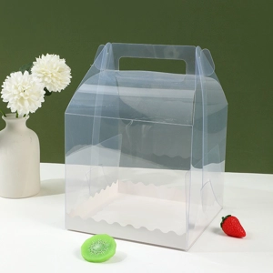 19.5cm x 19.5cm x 18cm TRANSPARENT BOX