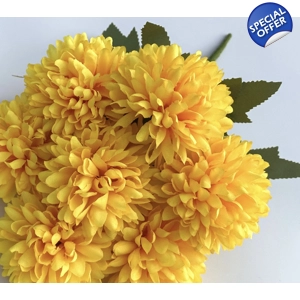 6 HEADS CHRYSANTHEMUM
