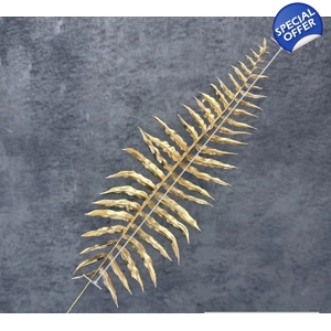 GOLDEN FERN LEAF