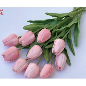Tulip