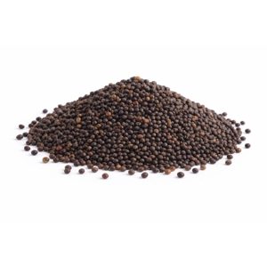 Black Mustard Seed