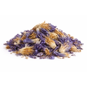 Egyptian Blue Lotus Flower