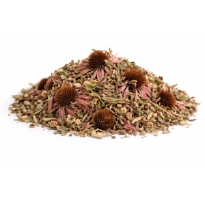 Echinacea