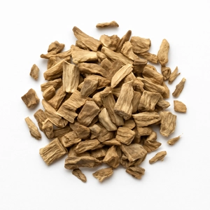 Angelica Root