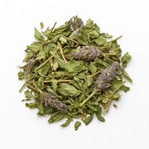 Anise Hyssop