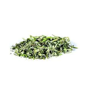 Catnip