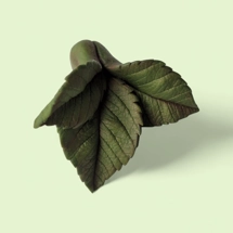 Rose Leaf Trio Silicone Mold..