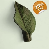 Rose Leaf Silicone Mold | Botanical Pl..
