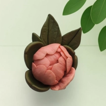 Peony Bud Silicone Mold | Sm..
