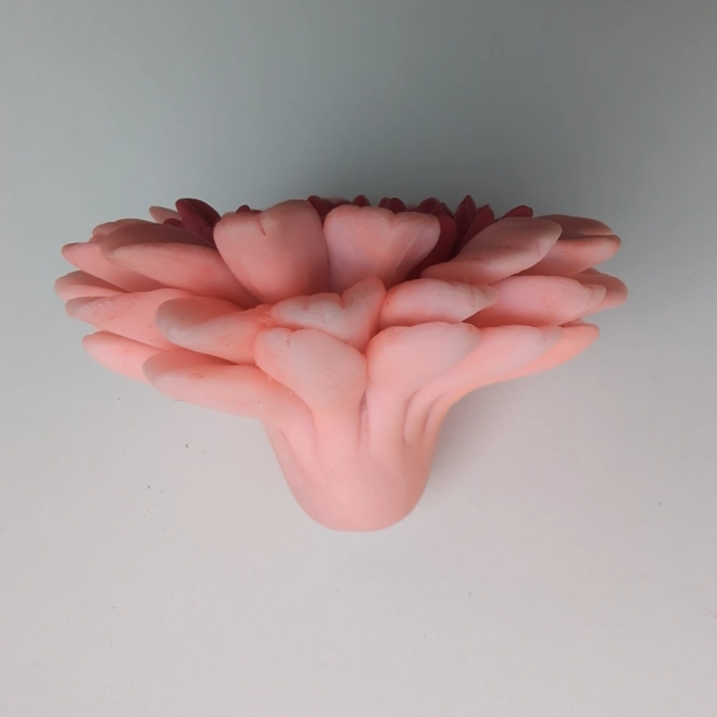 Additional Image for Gerbera – Realistic Silicone Mold for Soap, Resin, or Edible Projects