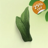 Peony Leaf2 – Slim Silicone Mold for S..