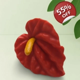 Mini Anthurium Flower – Silicone Mold ..