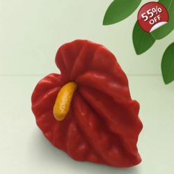 Mini Anthurium Flower – Silicone Mold for Soap & Edibles