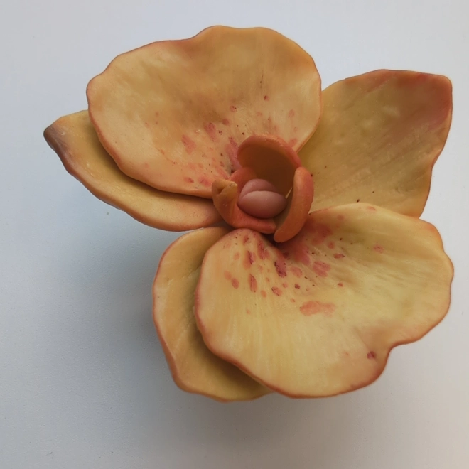 Additional Image for Orchid Flower Silicone Mold