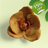 Small Orchid – Handcrafted Silicone Mold