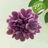Grand Lilac Bloom – Deep Silicone Mold..