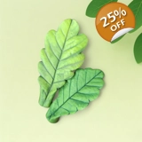 Oak Leaf Duo – Silicone Mold