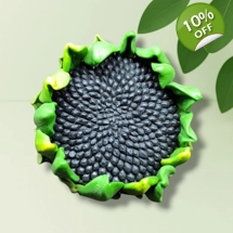 Sunflower Center – Sili..