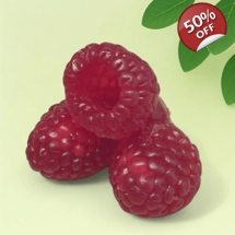Raspberry Cluster – Sil..