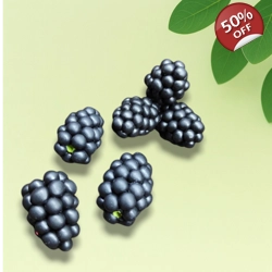 Blackberry Set Silicone Mold – Realistic Berries for Soap & Wax | AK Molds