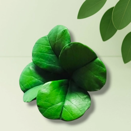Clover Silicone Mold – Four Leaf Botanical Design for Soap & Wax | AK Molds