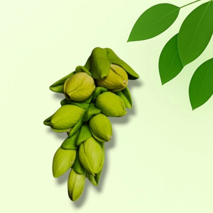 Bud Leaves Cluster – Silicone Mold