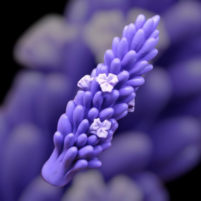 Additional Image for Muscari & Hyacinth – Silicone Mold