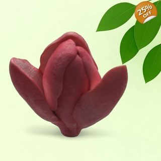 Magnolia Bud – Open Pet..