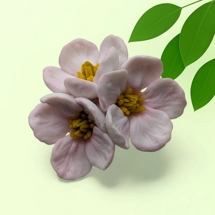 Apple Blossom – silicon..