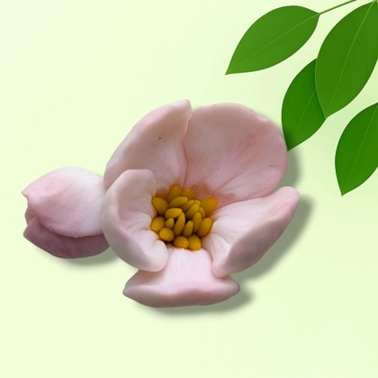 Apple blossom small silicone mold