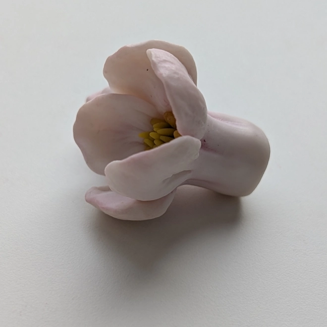 Additional Image for Apple blossom small silicone mold