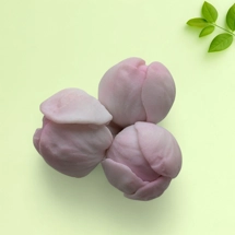 Apple blossom buds silicone mold