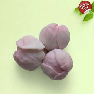 Apple blossom buds sili..