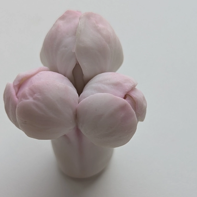 Additional Image for Apple blossom buds silicone mold