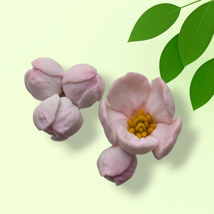 Apple Blossom Small & Apple Blossom Buds silicone mold set