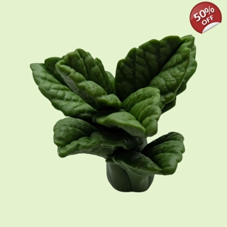 Peppermint Leaf Silicon..
