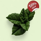 Peppermint Leaf No. 2 – Silicone Mold