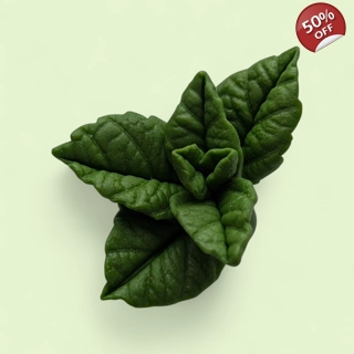 Peppermint Leaf No. 2 –..