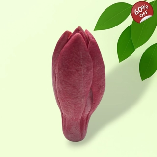 Magnolia Closed Bud Sil..
