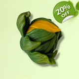 Sunflower Small Silicone Mold – Handma..