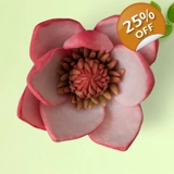 Magnolia Silicone Mold