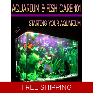 AQUARIUM AND FISH CARE 101 EBOOK