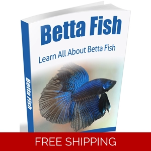BETTA FISH EBOOK