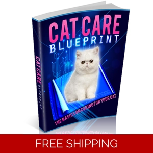 CAT CARE BLUEPRINT EBOOK