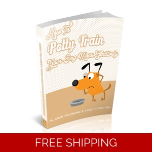 HOW TO POTTY TRAIN YOUR DOG MORE EFFECTIVELY EBOOK